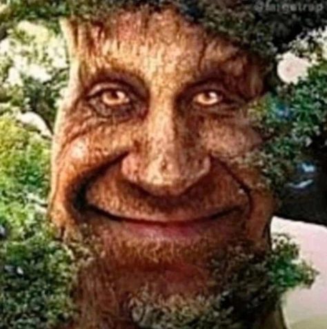 Wise Mythical Tree, Wise Mystical Tree, Arthur Meme, Extreme Memes, Wise Tree, Duality Of Man, Ed Sheeran Love, Magical Tree, Lol Memes