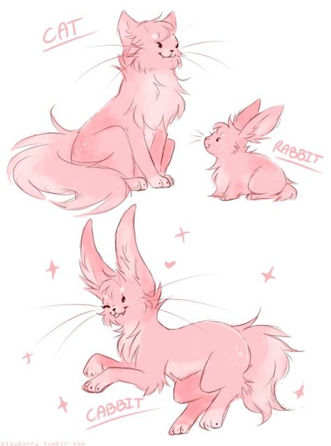 Cabbit Cat Rabbit Hybrid, Dog Cat Hybrid Drawing, Bunny Fox Hybrid, Bunny Cat Hybrid, Bunny Dragon Hybrid, Animal People Hybrid Drawings, Cat Dog Hybrid, Mythical Pets, Cat Hybrid