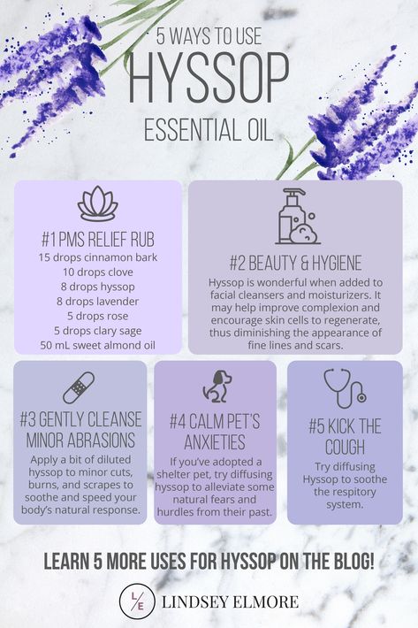 Whether it's to kick the cough and let your respiratory system recover, or just essential beauty and hygiene - Hyssop has got you covered! Here are five ways to use this Essential Oil, with five more on the blog! Hyssop Essential Oil, Essential Oil Spray Recipes, Doterra Essential Oils Recipes, Essential Oil Remedy, Oil Remedies, Essential Oil Blends Recipes, Living Essentials Oils, Healing Oils, Essential Oil Diffuser Blends