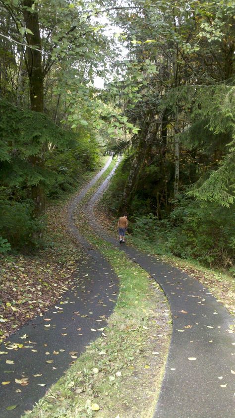 ribbon driveway Long Driveway Ideas Country Roads, Driveway Through Woods, Sloped Driveway Ideas, Short Driveway Ideas, Ribbon Driveway, Steep Driveway, Grass Driveway, Driveway Entrance Landscaping, Tree Lined Driveway