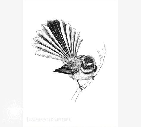 This Pen & Ink Drawings & Illustrations item by IlluminatedLetters has 13 favorites from Etsy shoppers. Ships from United States. Listed on 15 Sep, 2023 Fantail Tattoo, Bird Illustration Print, Black Ink Drawing, Tui Bird, Ancient Tattoo, Home Decor Black, Tail Feathers, Ink Drawing Illustration, Birds Tattoo