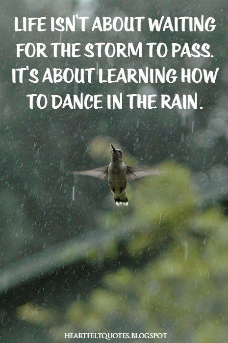 Heartfelt Quotes: Life isn't about waiting for the storm to pass. It's about learning how to dance in the rain. ~ Vivian Greene Life Isn't About Waiting For The Storm, Life Is Not About Waiting For The Storm, Contemplation Art, Thunder Quotes, Hummingbird Quotes, Hummingbird Symbolism, Quotes Empowerment, Girl Talks, Love And Life Quotes