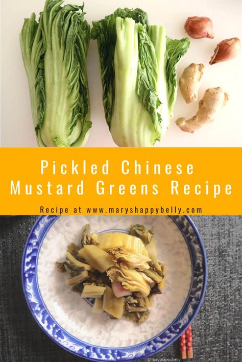 How to Pickle Chinese Mustard Greens (Gai choy) - Mary's Happy Belly Fermented Mustard Greens, Chinese Pickled Mustard Greens, Pickled Mustard Greens Recipe, Chinese Mustard Greens Recipe, Recipes With Chinese Sausage, Pickle Mustard, Pickled Items, Mustard Cabbage, Airfryer Chicken