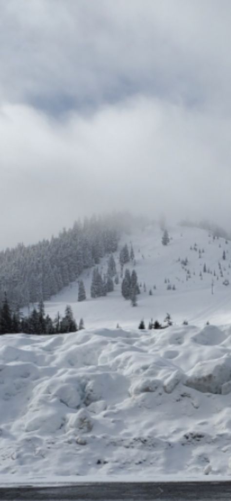 Snoqualmie Pass Washington, Natural Landmarks, Travel, Nature