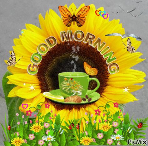 Big Sunflower Good Morning Gif Kaffe Humor, Morning Handsome, Good Morning Handsome, Good Morning Wednesday, Quotes Good Morning, Morning Quotes For Him, Good Morning Animation, Morning Quotes Funny, Cute Good Morning Quotes