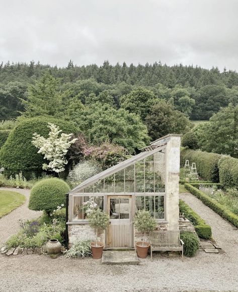 Outside Room, Greenhouse Shed, Backyard Greenhouse, British Garden, Garden Greenhouse, Have Inspiration, The Greenhouse, Greenhouse Gardening, Garden Show