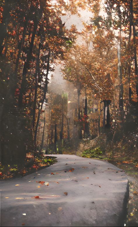 Taylor Swift Fall Background, Taylor Swift Wallpaper Fall, Taylor Swift Autumn Wallpaper, Fall Taylor Swift Wallpaper, Autumn Aesthetic Desktop Wallpaper, Taylor Swift Fall Wallpaper, Evermore Aesthetic Wallpaper, Foto Taylor Swift, Evermore Background