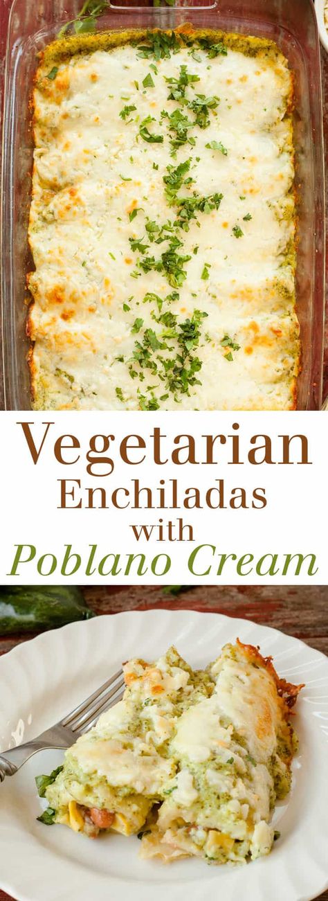 Enchiladas Mexicanas, Poblano Cream Sauce, Dinner Cheap, Vegetarische Diners, Falafel Vegan, Vegetarian Mexican Recipes, Vegetarian Enchiladas, Recipes Meat, Vegetarian Mexican