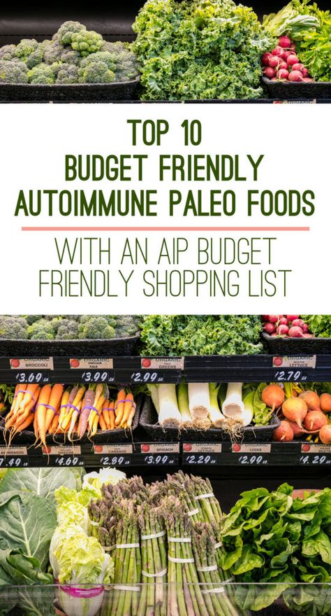 Top 10 Budget Friendly Autoimmune Paleo Foods (Plus an AIP Shopping List) - Unbound Wellness Aip Shopping List, Aip Diet Recipes, Paleo Menu, Autoimmune Protocol Diet, Autoimmune Paleo Diet, Autoimmune Recipes, Autoimmune Paleo Recipes, Healing Diet, Aip Paleo Recipes