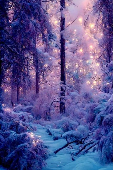 Lavender Haze, Merry Christmas Pictures, Christmas Wallpaper Backgrounds, Cute Christmas Wallpaper, Forest Garden, Fantasy Places, Winter Scenery, Winter Pictures, Homescreen Wallpaper