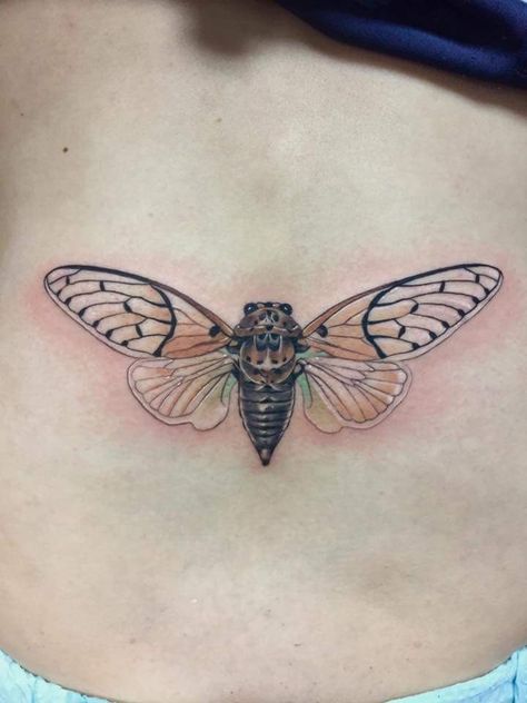 Cicada Tattoo, Tattoo Nature, Color Tattoo, Tattoo Artist, Tattoos And Piercings, Paw Print Tattoo, Cool Tattoos, Tattoo Artists, Tatting