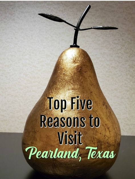 Top Five Reasons to Visit Pearland, Texas [AD] #VisitPearland #TXRoadTrip20 Houston Aquarium, Texas Travel Weekend Getaways, Cabins In Texas, Pearland Texas, Texas Travel Guide, Blue Winged Teal, Texas State Parks, Houston Zoo, Texas Destinations