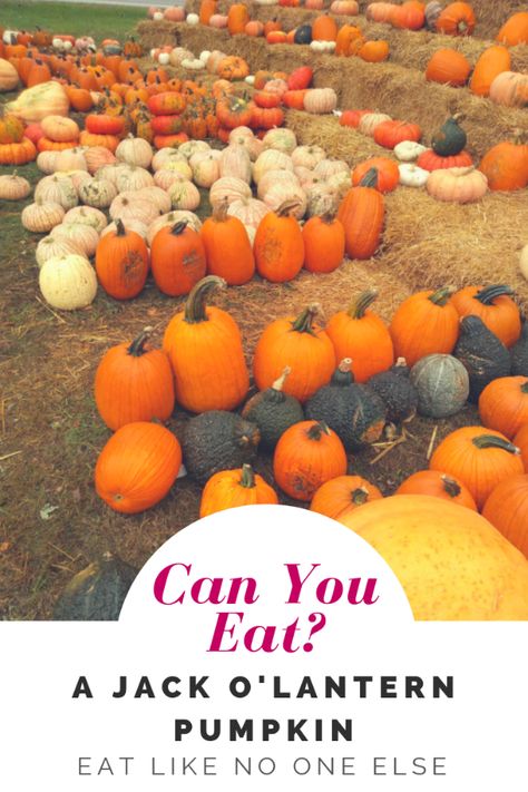 Can You Eat Your Jack ‘o Lantern Pumpkin? Find out if you can eat the pumpkin that you carve for Halloween.  #pumpkins #pumpkin #cooking #halloween #fall #eatlikenooneelse | eatlikenoone.com How To Eat Pumpkin, What Pumpkins Can You Eat, Roasting A Pie Pumpkin, Roasting Pie Pumpkins, Pumpkin Eating Other Pumpkin Carving, Pumpkin Carving Alternatives, Pumpkin Cooking, Huge Pumpkin, Lantern Pumpkins