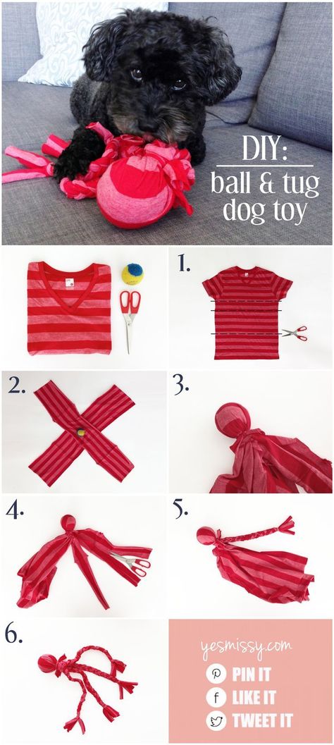 Make this easy DIY, no sew ball and tug toy from an old t-shirt and tennis ball! Katt Grejer, Diy Pet Toys, Diy Dog Toys, Puppy Stuff, Dog Projects, Dog Crafts, Toy Puppies, Diy Dog, Old T Shirts