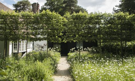 For more of these pleached crabapple trees, see Gatehouse Garden: A Dramatic Black Backdrop for a White Wildflower Meadow. Photograph by Rosangela Photography, courtesy of Stefano Marinaz Landscape Architecture. Pleached Trees, Courtyard Plants, Apple Garden, Landscaping Trees, Small Courtyard Gardens, Meadow Garden, Crabapple Tree, Garden Screening, Gate House