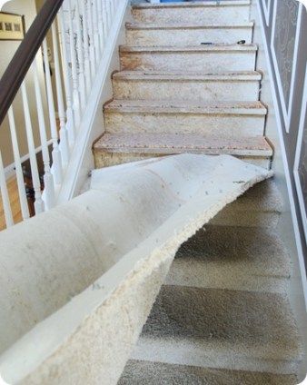 ripping out carpet Redo Stairs, Carpet Diy, Stair Makeover, Diy Staircase, Stairs Makeover, Staircase Remodel, Staircase Makeover, Wood Steps, Stair Remodel