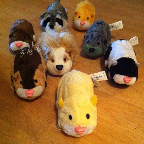 Nostalgic Toys 2000s, Childhood Plushies, 2010 Toys, Growing Up In The 2000s, Zhu Zhu Pets, Zhu Zhu, Nostalgia 2000s, 00s Nostalgia, 2010s Nostalgia