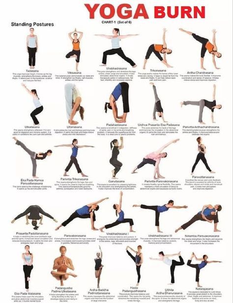 All Yoga exercises with the yoga burn manual, know a to z yoga posture with a personal trainer. Yoga Chart, Yoga Poses Chart, Essential Yoga Poses, Fat Burning Yoga, Mental Fortitude, Yoga Poses Advanced, Yoga Burn, Advanced Yoga, Basic Yoga