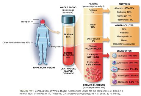 the composition of blood Hematology Notes, Composition Worksheet, Phlebotomy Study, Medical Laboratory Technician, Blood Components, Medical Laboratory Scientist, Prp Hair, Blood Plasma, Basic Anatomy And Physiology