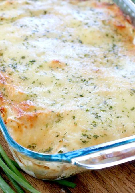 Swiss Enchiladas, Chicken Enchiladas Suiza, Enchiladas Beef, Enchiladas Suizas, Cream Cheese Sauce, Mexican Meals, Mexican Chicken Recipes, Cheese Enchiladas, Tacos And Burritos