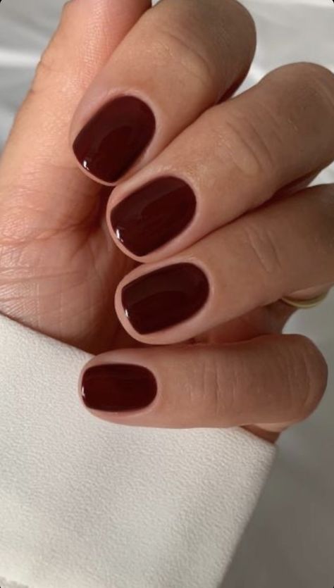 Dark Brown Short Nails, Builder Gel, Brown Shorts, Brown Nails, Dream Nails, Short Nails, Nail Ideas, Dark Brown, Manicure