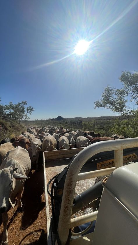 Country Couples, Outback Australia, Western Life, Cattle Ranching, Country Lifestyle, Western Aesthetic, Bull Riding, Ranch Life, Dirt Road