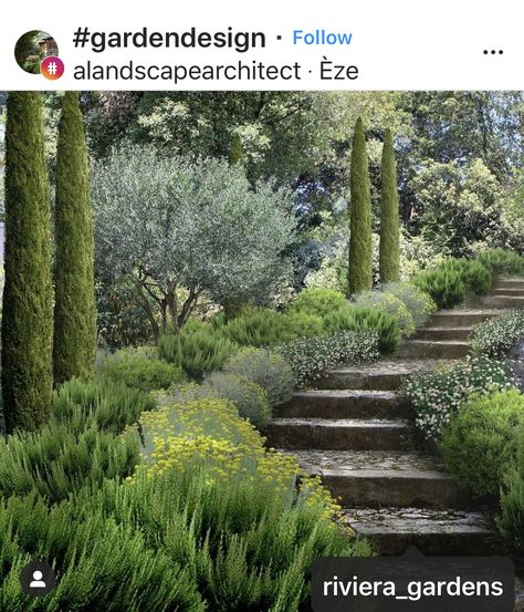 Cerca Natural, Mediterranean Garden Design, Provence Garden, Tuscan Garden, Mediterranean Landscaping, Dry Garden, Garden Steps, Mediterranean Garden, French Garden