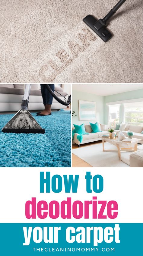 Learn how to deodorize carpet with ease, even if you have pets at home! Say goodbye to lingering odors and hello to a fresh-smelling space. Click through for simple yet effective tips on how to deodorize your carpet today! How To Deodorize Carpet, Deodorize Carpet, Young Living Pets, Smelly Carpet, Carpet Odor Remover, Pet Urine Smell, Mold Smell, Carpet Cleaner Solution, Carpet Smell