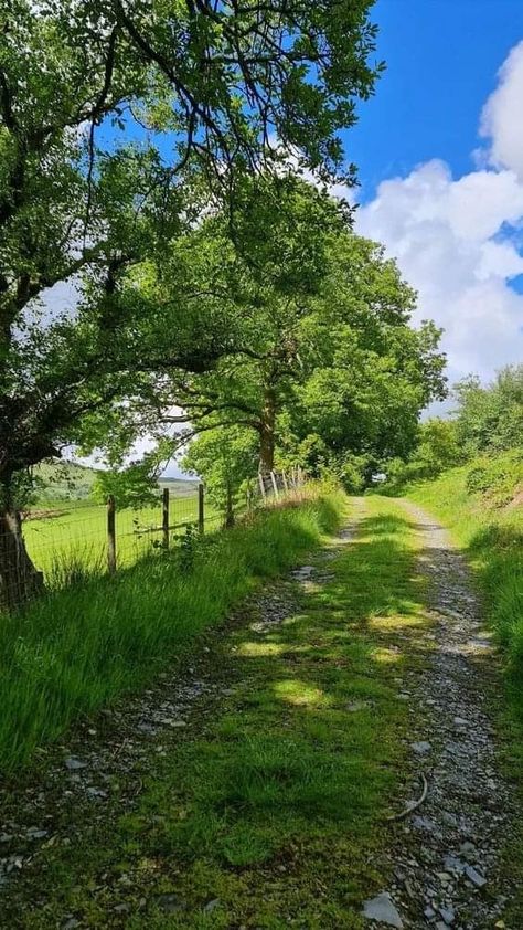 Forest Path, Countryside House, Pretty Landscapes, Japan Aesthetic, Dirt Road, Beautiful Locations Nature, Peaceful Places, Green Landscape, Beautiful Scenery Nature