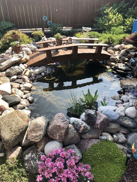 Koi Fish Pond With Bridge, Pond With Bridge Backyard, Fish Pond With Bridge, Backyard Pond Bridge, Pond Outside House, Ponds With Bridges, Terrace Pond Ideas, Small Pond With Bridge, Koi Pond With Bridge