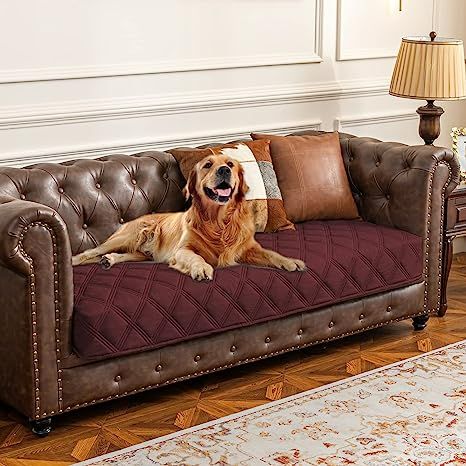 Dog Sofa Cover, Waterproof Dog Bed, Waterproof Blanket, Sofa And Bed, Bed Quilt Cover, Covered Dog Bed, Microfiber Blanket, Dog Sofa, Bed Couch