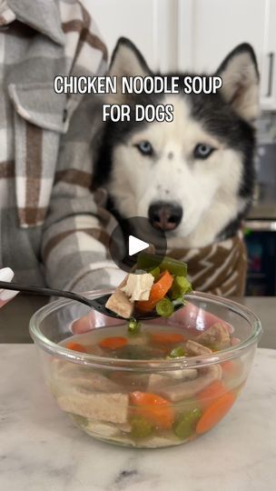 41K views · 1.2K reactions | Homemade Chicken Noodle Soup For Dogs! | Homemade Chicken Noodle Soup For Dogs! | By My Mountain Husky | Facebook Chicken Soup For Dogs Recipe, Soup For Dogs, Boil Chicken Breast, Homemade Chicken Vegetable Soup, Dog Soup, Kfc Secret Recipe, Boiled Chicken Breast, Homemade Chicken Noodle, Vegetable Soup With Chicken