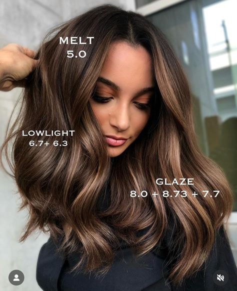 Color Formulations, Brown Bob Hair, Balayage Hair Dark, Brunette Balayage Hair, Hair 2024, Brown Hair Balayage, Medium Long Hair, Chic Hairstyles, Brown Hair With Highlights