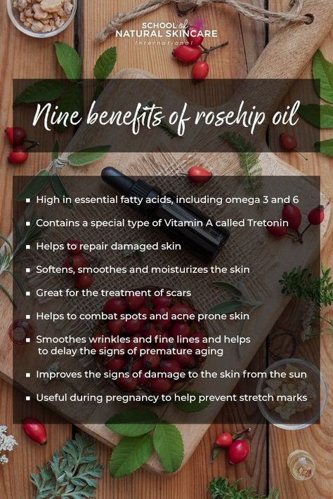 9 Natural Benefits of Rosehip Oil for Your Skin - School of Natural Skincare Rosehip Seed Oil Benefits, Rose Hips Benefits, Benefits Of Rosehip Oil, Rosehip Oil Benefits, Folk Remedies, Esthetician Marketing, Natural Skin Care Ingredients, Natural Acne Remedies, Rosehip Seed Oil