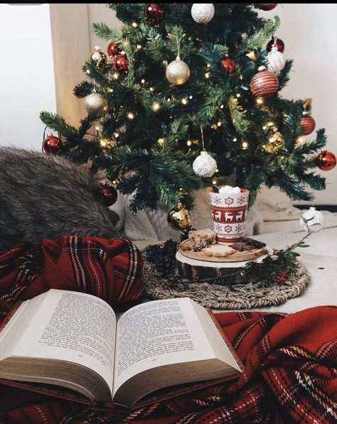 Christmas Bookshelf, Christmas Reading, Cosy Christmas, Christmas Feeling, Christmas Inspo, Warm Christmas, Christmas Wonderland, Merry Little Christmas, Christmas Mood