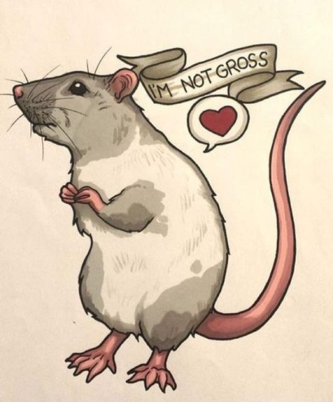 Cute Rat Drawings, Rattus Rattus, Fancy Rats, Cartoon Rat, Rat Tattoo, Fancy Rat, Animal References, A Rat, Cute Rats