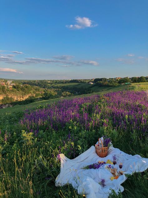 France Aesthetic, Picnic Inspiration, Picnic Time, Life Aesthetic, Cottagecore Aesthetic, Spring Aesthetic, Guilty Pleasure, A Picnic, Oui Oui