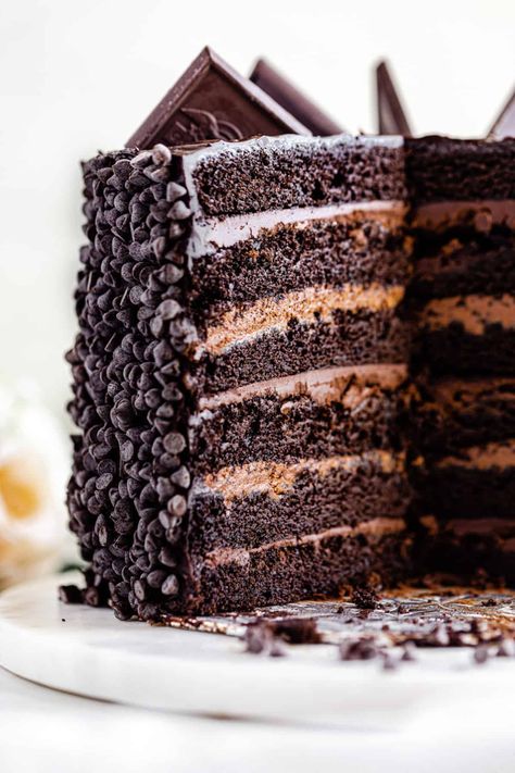 Chocolate Layer Cake Birthday, 6 Layer Chocolate Cake, Cheesecake Factory Chocolate Tower Truffle Cake Recipe, 13 Layer Chocolate Cake, Multi Layer Chocolate Cake, Multi Layered Cake, Layered Chocolate Cake Recipe, Chocolate Cake With Pudding Filling, Chocolate Thanksgiving Cake