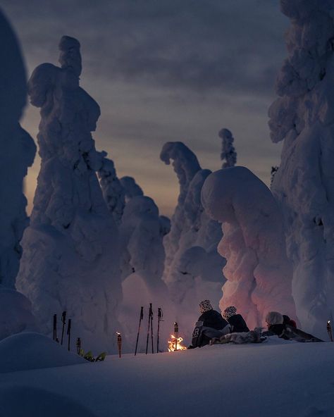 Swedish Lapland on Instagram: “As the night closes in, in winter wonderland. . . 📷 @portraitsoflapland . . #winterwonderland #swedishlapland #thewoods #snow…” Snow Ice, Winter Is Here, Snow And Ice, Winter Day, Let It Snow, Winter Holidays, Winter Wonderland, Mount Rushmore, Sweden