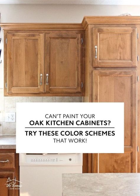 Oak Kitchen Cabinets Wall Color, Updating Oak Cabinets, Modern Oak Kitchen, Oak Kitchen Cabinet, Modern Kitchen Colours, Honey Oak Cabinets, Maple Kitchen Cabinets, Brown Kitchen Cabinets, Painting Oak Cabinets