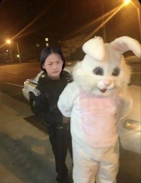 New Jeans Style, Funny Kpop Memes, Film Inspiration, Old Jeans, Kpop Entertainment, The Bunny, Music Memes, My Chemical, Bad Bunny