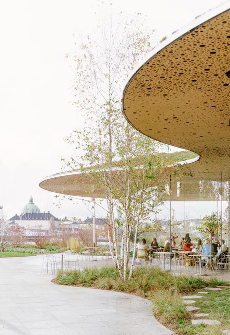 The Opera Park in Copenhagen @ Francisco Tirado Covered Walkway, Water Lily Pond, Classic Garden, Most Beautiful Gardens, Urban Nature, Herbaceous Perennials, Green Lawn, Romantic Garden, The Opera