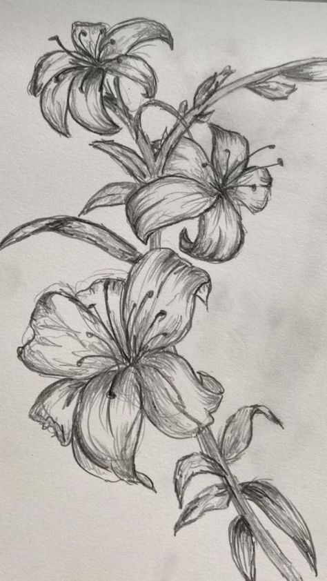 Exotic Drawing Sketch, Plants Reference Drawing, Drawing Lily Flower, Lily Flowers Drawings, How To Draw Lilies, Aesthetic Flower Doodles, How To Draw A Lily, Lilly Drawing Flowers, Lilys Aesthetic Flower