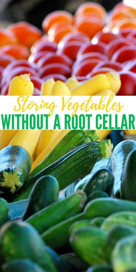 Store Vegetables, Storing Vegetables, Storing Fruit, Canning Food Preservation, Canned Food Storage, Root Cellar, Long Term Food Storage, Fruit And Vegetable Storage, Vegetable Storage