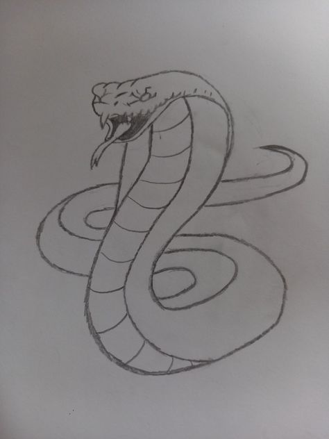 Cute Cobra Drawing, Simple Easy Sketches, Cobra Sketch, Snake Drawing Simple, Snake Sketches, Snake Drawing Sketches, Cobra Drawing, Snake Drawings, Easy Pen Drawing