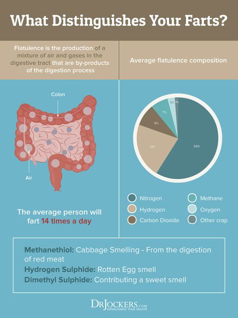 8 Ways to Reduce Gas and Farting for Good - DrJockers.com Getting Rid Of Gas, Fruit Smoothie Recipes Healthy, Gas Relief, Reduce Gas, Digestion Process, School Communication, Creating A Newsletter, Organic Health, Digestive Health