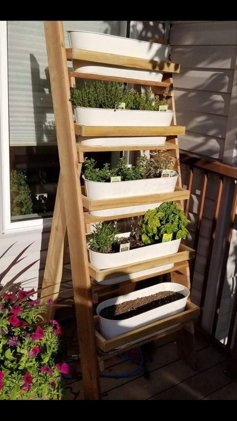 Hubby made me a herb stand.😍 Standing Herb Garden Vertical Planter, Herb Plant Stand, Herb Stand Outdoor, Upright Herb Garden, Herb Ladder, Herb Stand, Herb Bed, Plant Stand Decor, Herb Rack