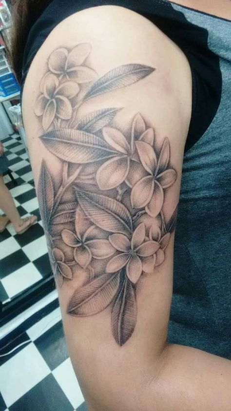 Plumeria rubra Laos Flower Tattoo, Plumeria Tree Tattoo, Plumeria Tattoos For Women, Plumeria Hibiscus Tattoo, Palm Tree Tattoo Black, Plumeria Tattoo Designs, Tree Tattoo Black And White, Hawaiian Plumeria Tattoo, Tahiti Tattoo