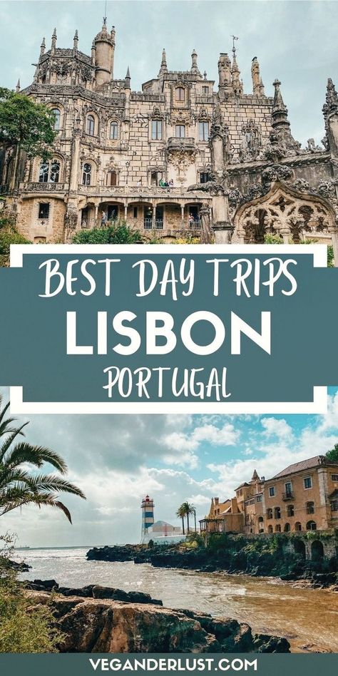 Want to spice up your Lisbon adventure? Dive into an unforgettable day trip! Whether you're into sandy shores, ancient castles, or picturesque towns, Portugal has it all. Check out these best day trips from Lisbon Portugal and pick your favourite one. Lisbon Trip, Best Places In Portugal, Lisbon Itinerary, Day Trips From Lisbon, Places In Portugal, Sandy Shores, Visit Portugal, Countries To Visit, Wine Travel