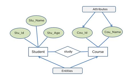 Entity Relationship Diagram, Er Diagram, Relationship Diagram, Structural Design, First Relationship, Study Course, Basic Concepts, Student Studying, Start Now